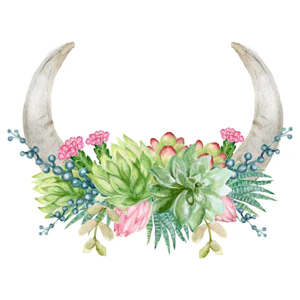 Watercolor Set Horn Buffalo Skull Head Skeleton Cactus Succulent Plants — стокове фото