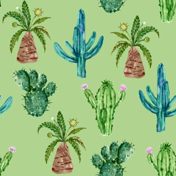 Watercolor hand drawn illustration with cactus and succulents  Green house botanical plants illustrations seamless pattern background backdrop