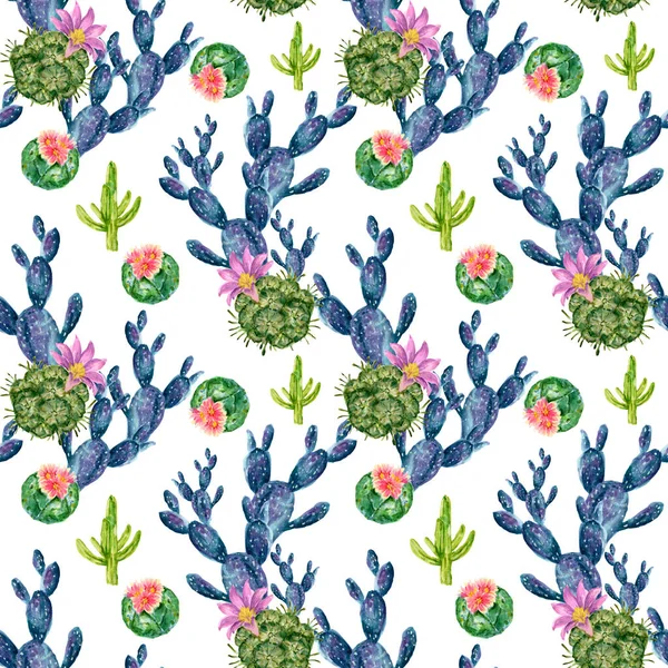 Akwarela Ręcznie Rysowane Ilustracja Kaktusów Sukulentów Zielony Dom Roślin Botanicznych — Zdjęcie stockowe