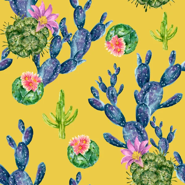 Acquerello Disegnato Mano Illustrazione Con Cactus Piante Grasse Green House — Foto Stock