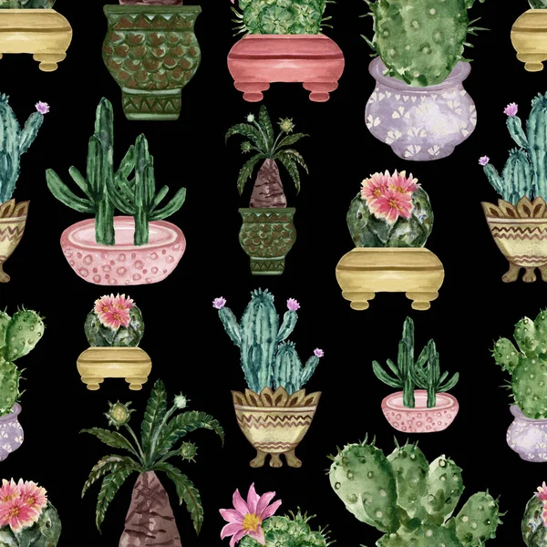 Acquerello Disegnato Mano Illustrazione Con Cactus Piante Grasse Green House — Foto Stock