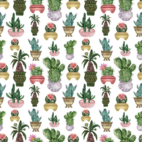 Watercolor Hand Drawn Illustration Cactus Succulents Green House Botanical Plants — Stock Photo, Image