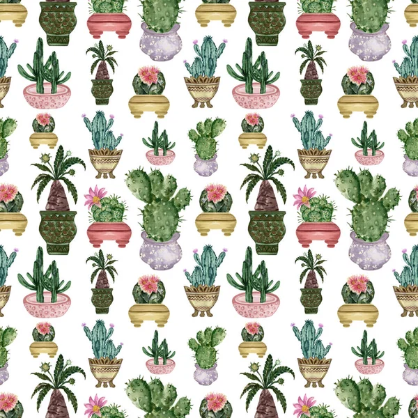 Watercolor hand drawn illustration with cactus and succulents  Green house botanical plants illustrations seamless pattern background backdrop hand painting
