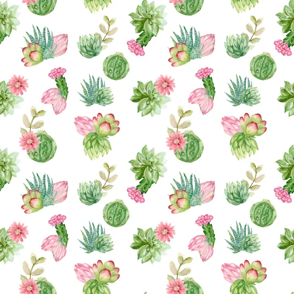 Watercolor Pastel Hand Drawn Cactus Succulents Botanical Plants Illustrations Seamless — Stock Photo, Image