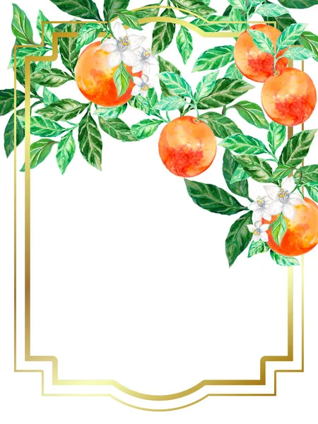 Watercolor Illustration Hand Painting Fresh Bright Grapefruit Botanical Gold Template — Stock Photo, Image