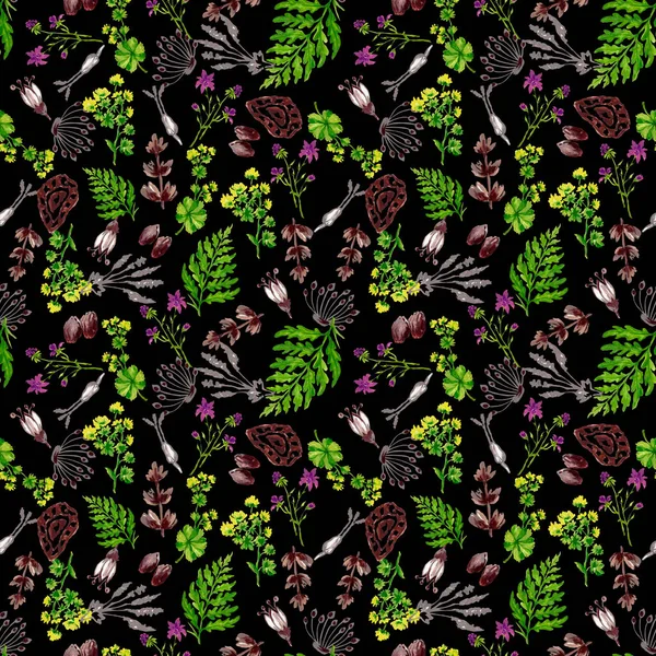 Jardim Abstrato Florescendo Ervas Flores Coloridas Folhagem Folhas Design Wildflower — Fotografia de Stock