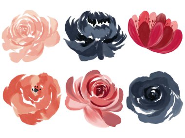 Suluboya botanik gül çiçekleri çiçek yaprakları düğün davetiyesi için suluboya ve beyaz arka planda bitkiler bırakır.