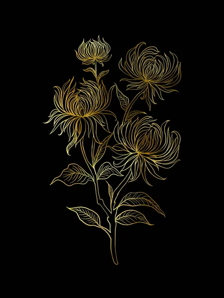Outline gold chrysanthemum flowers, hand drawn floral illustration isolated on black background
