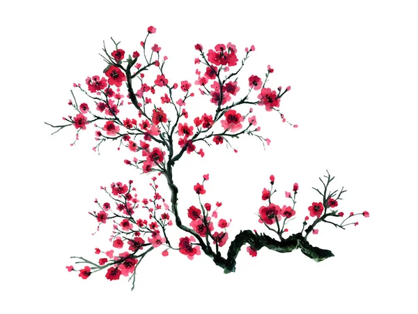 Švestkový Květ Rostlina Tradiční Čínské Listoví Zahradní Kytice Prvky Izolované — Stock fotografie