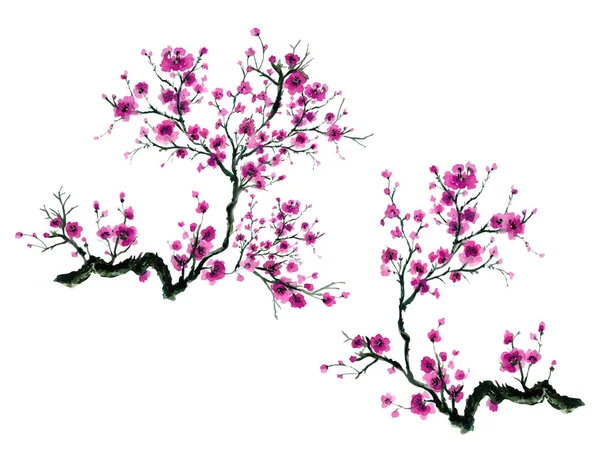 Švestkový Květ Rostlina Tradiční Čínské Listoví Zahradní Kytice Prvky Izolované — Stock fotografie