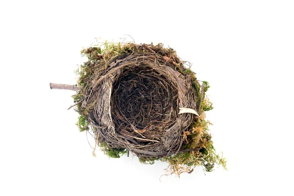 Lege vogel nest — Stockfoto