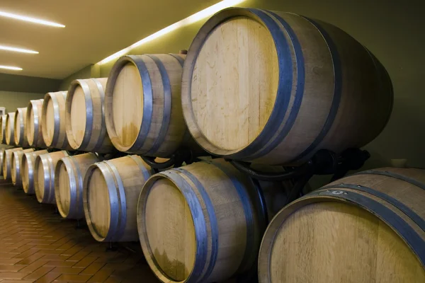 Las barricas de vino —  Fotos de Stock