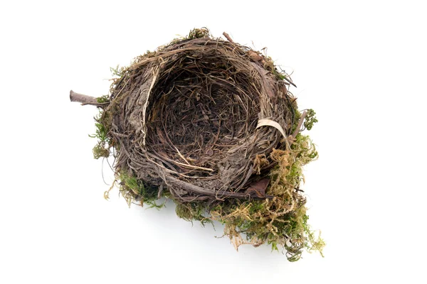 Empty bird nest Stock Image