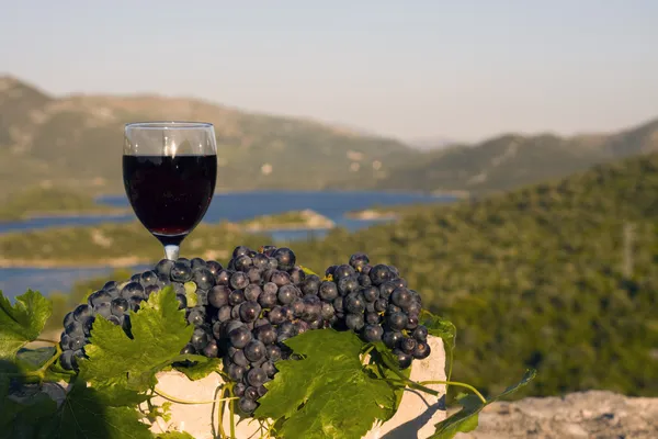 Üveg bor és a szőlő-kő Stock Fotó