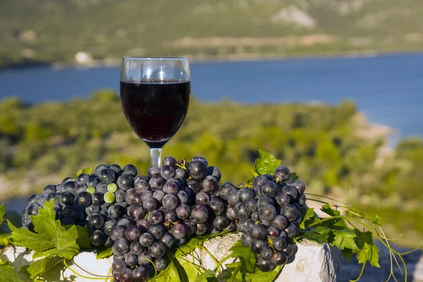 Egy pohár bor és szőlő Stock Kép