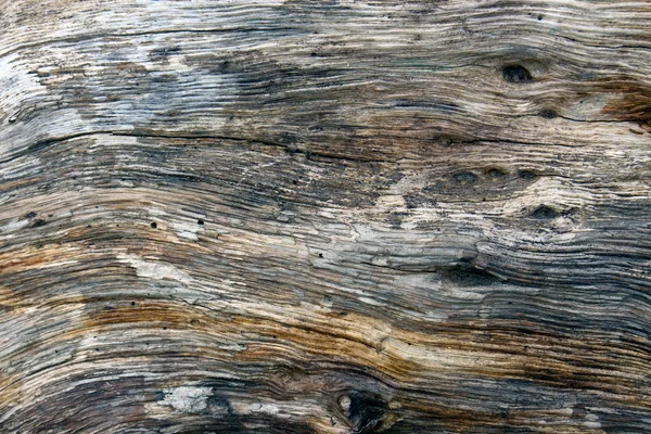 Texture naturelle de vieux bois Photo De Stock
