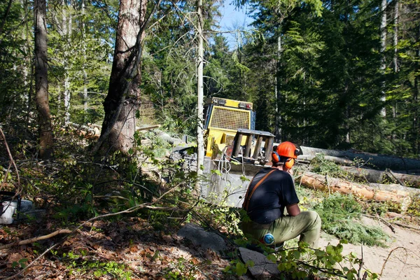 Ein Holzfäller im Wald — Stockfoto