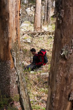 ormanda oturan uzun yürüyüşe çıkan kimse