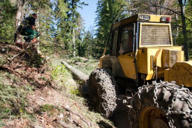 Ormanın çalışma tezgahı operatörü