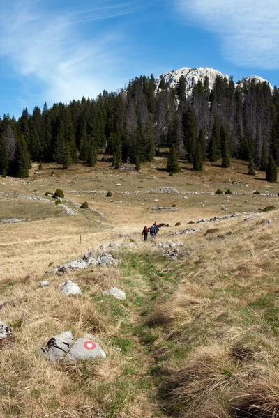 Turistické značky na kamenné a skupina horolezců — Stock fotografie