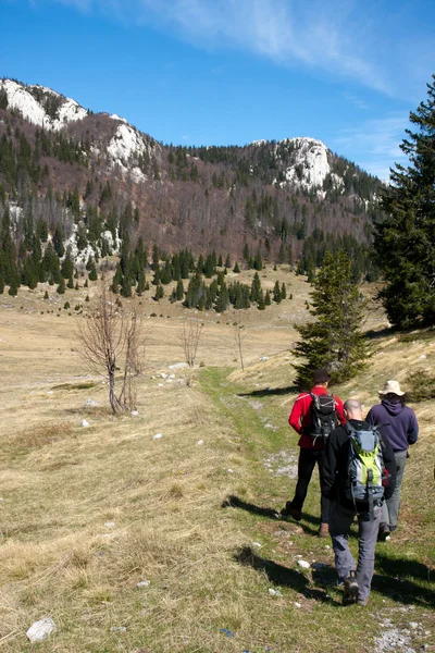 Três montanhistas caminham pelas montanhas — Fotografia de Stock