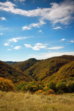 sonbahar manzarası doğa parkı zumberak, Hırvatistan