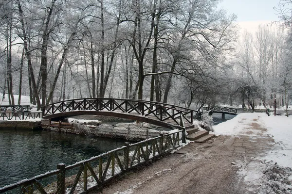 kış sezonu köprü Nehri üzerinde