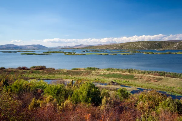 Národní park - hutovo blato — Stock fotografie