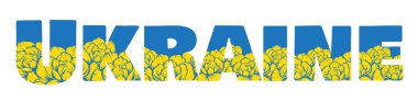 Sarı çiçekli ve mavi gökyüzü olan Ukrayna kelimesi beyaz arka planda ulusal bayrak renkleri gibi.