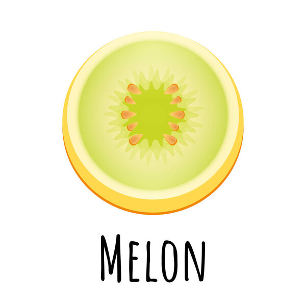 Kiwi fruit slice closeup icon isolated on white background, art logo design.