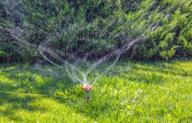 Bahçe yeşili çimlerin sulanması. Güneşli bahçe.