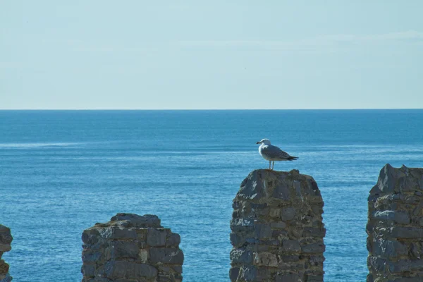 Sea of Liguria — Stock Photo, Image