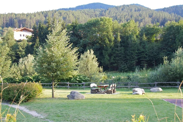 Giardino di montagna — Foto Stock