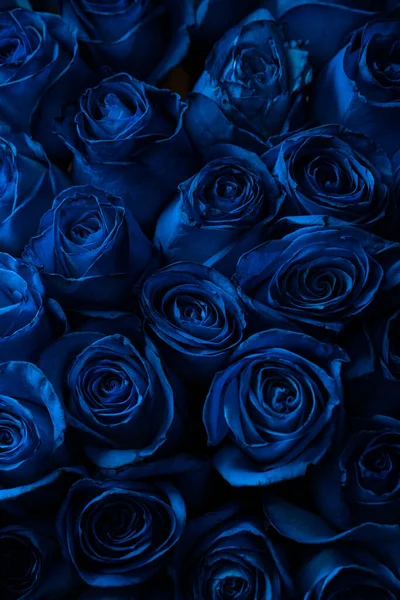 Kytice Krásné Modré Růže Trend Barva Klasické Modré Valentýn Selektivní — Stock fotografie