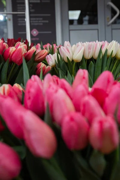 Nombreuses Couleurs Différentes Sur Stand Table Bois Dans Boutique Fleurs — Photo