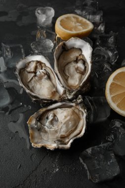 Koyu arka planda taze istiridye, istiridye, limon ve buzla servis edilir. Sağlıklı deniz ürünleri. Gurme yemeği. en üstteki görünüm