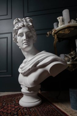 Tanrı Apollo heykel büstü. Antik Yunan Güneş ve Şiir Tanrısı Siyah üzerine izole edilmiş bir mermer heykelin alçı kopyası