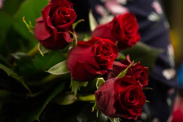 Bouquet Red Roses Gift Idea Valentine Day Florist Woman Holding —  Fotos de Stock
