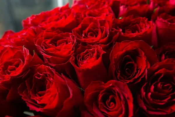 Bouquet Of Beautiful red Roses. Trend color classic red. . Valentines Day. Selective Focus. Roses wallpaper. Background. —  Fotos de Stock