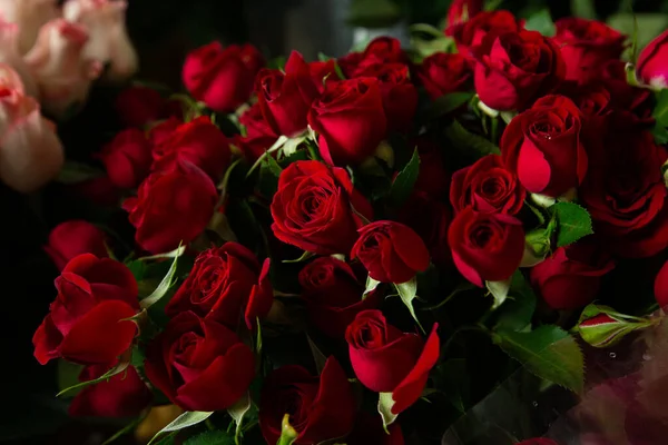 Ramo de hermosas rosas rojas. Trend color rojo clásico. .. Día de San Valentín. Enfoque selectivo. Papel pintado de rosas. Contexto. —  Fotos de Stock