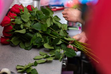 Florist at work. Close-up female hands cut roses Woman making a bouquet of red roses for valentines day. Fresh roses for bouquet delivery