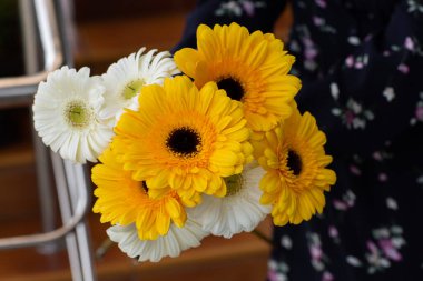 Sarı ve beyaz kasımpatılar, arka planda bulanık bir çekimde kadınların ellerinde. Güzel, parlak kasımpatılar sonbaharda çiçek açar..