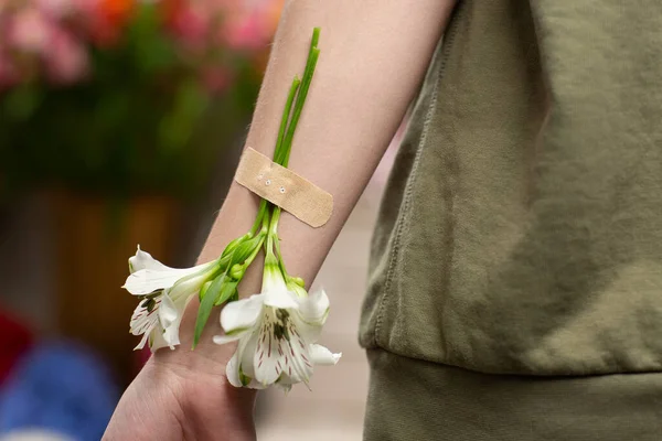 Alstroemeria attached to a hand with plaster bands. Natural freshness and woman hand. Hands cosmetics with white flower adhesive plaster. Concept - natural therapy