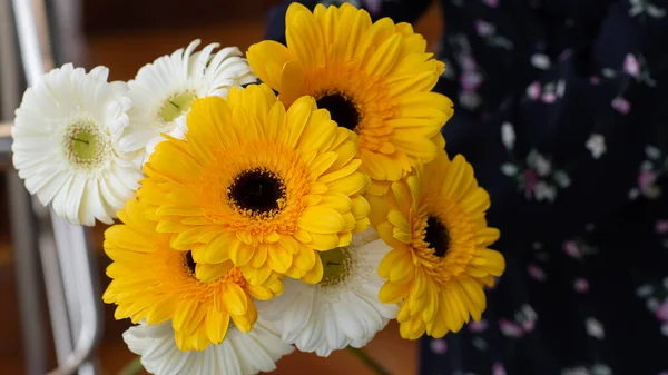 Crisantemos Amarillos Blancos Manos Femeninas Sobre Fondo Borroso Cerca Hermosos —  Fotos de Stock