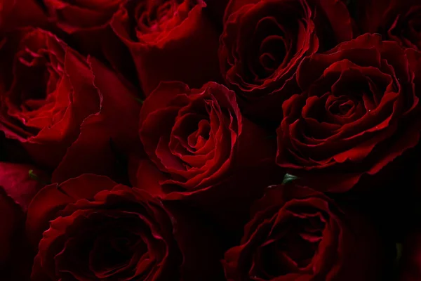 Bouquet Von Schönen Roten Rosen Trendfarbe Klassisch Rot Valentinstag Selektiver — Stockfoto