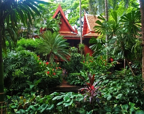 Giardino tropicale verde lussureggiante — Foto Stock
