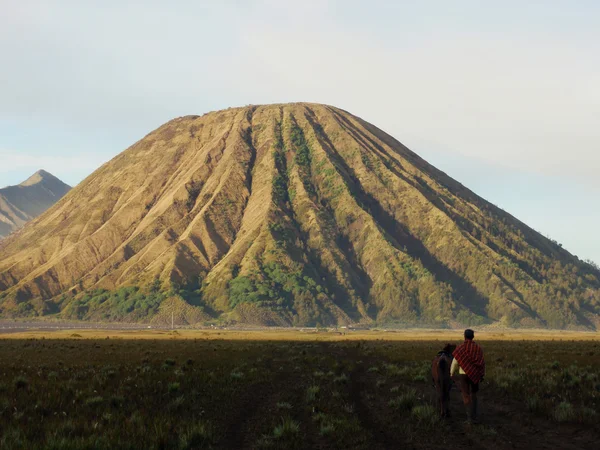 Muž s koněm v blízkosti sopky bromo, Indonésie — Stock fotografie