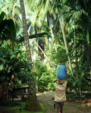 Hintli adam ormanda ağır yük