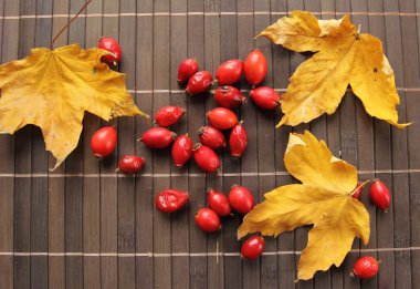 Masada sonbahar yaprakları