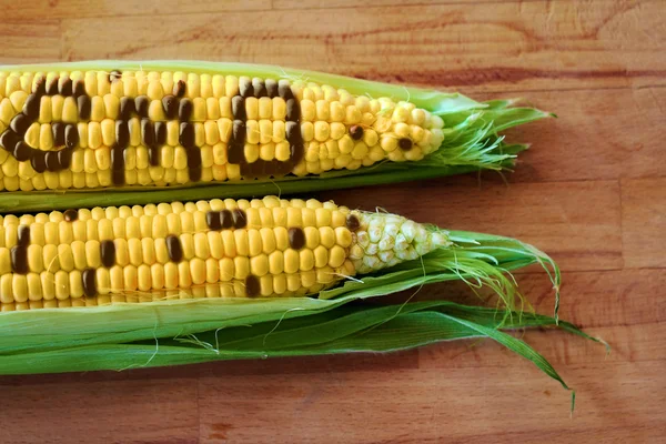 Concepto Gmo — Foto de Stock